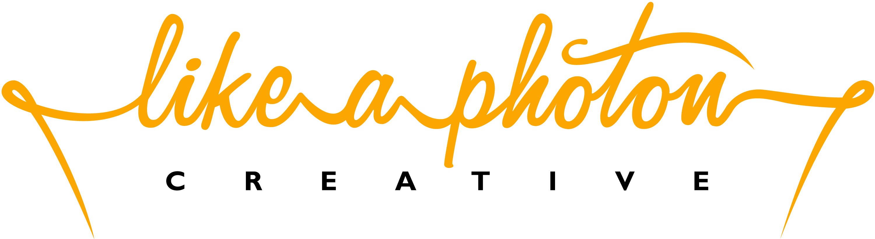 campany logo