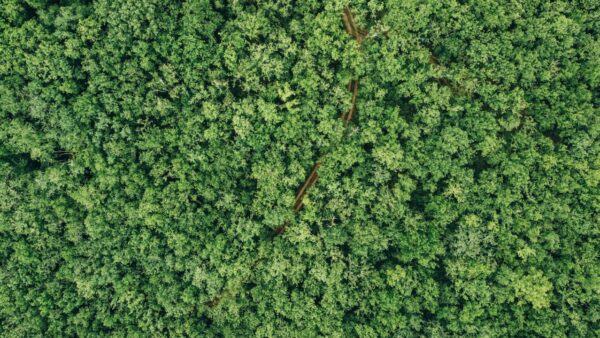 BCD’s Vision for Sustainable Travel in Production