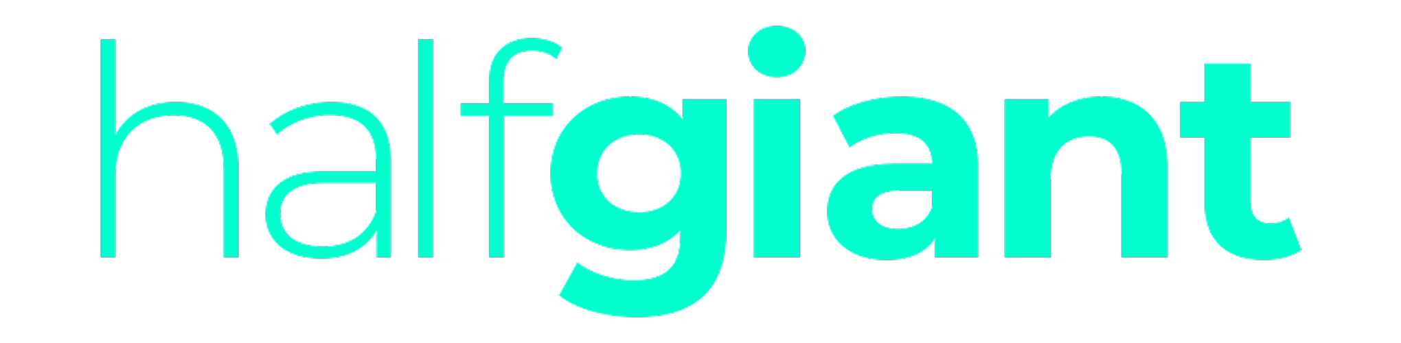 campany logo